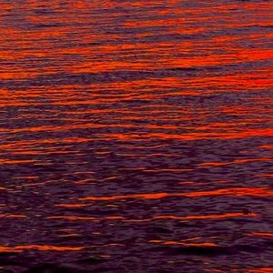 Meet your Posher, Cory